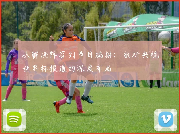 从解说阵容到节目编排:剖析央视世界杯报道的深度布局