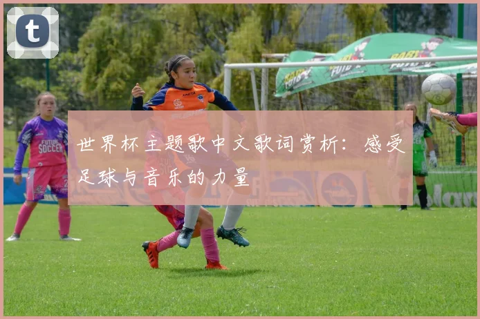 世界杯主题歌中文歌词赏析:感受足球与音乐的力量