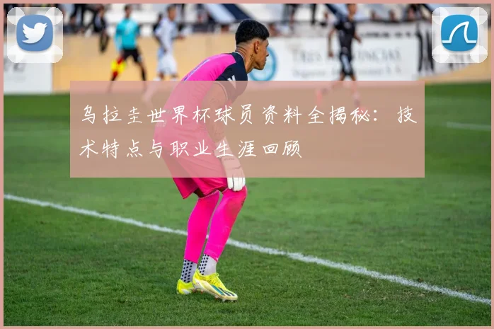 乌拉圭世界杯球员资料全揭秘:技术特点与职业生涯回顾