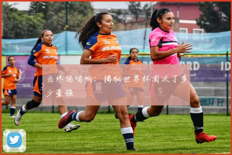当终场哨响:揭秘世界杯淘汰了多少豪强