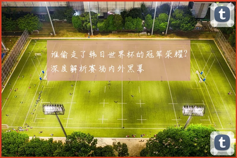 谁偷走了韩日世界杯的冠军荣耀？深度解析赛场内外黑幕